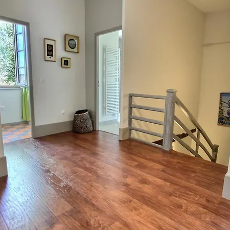 Apartament La Maison Des 2 Ponts Clim Centre Albi