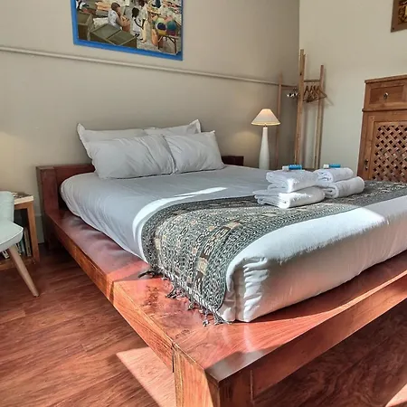 La Maison Des 2 Ponts Clim Centre * Albi